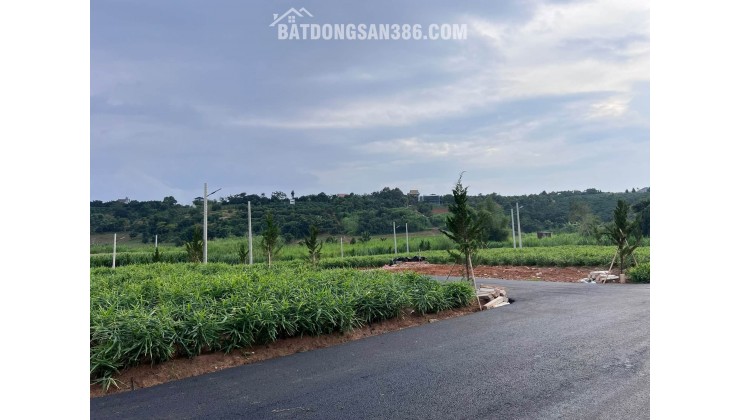 Cần Bán Đất 104m², 76m² Đất Ở, Đường Nhựa, Gần Suối Cam Ly Chỉ Từ 450 Triệu